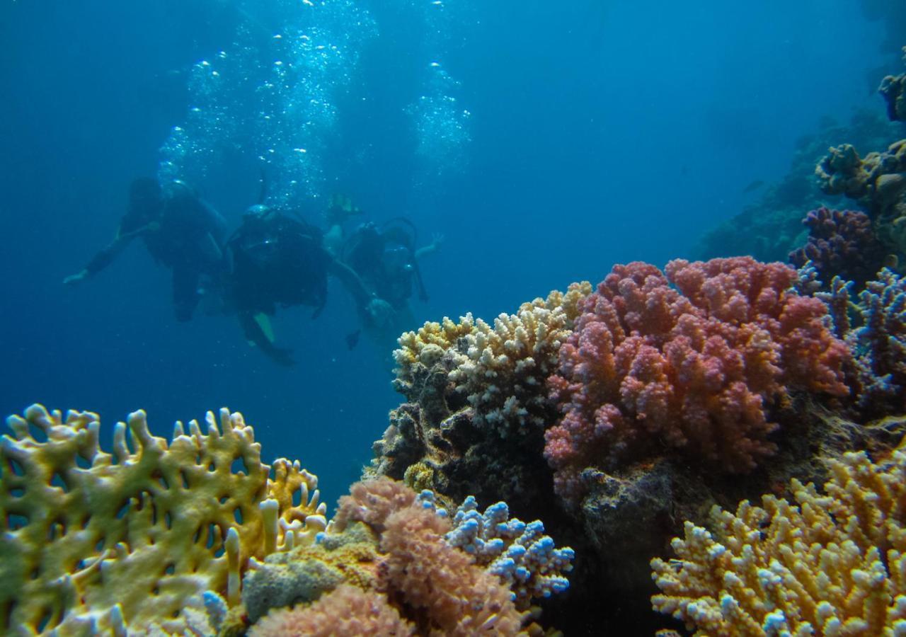 Sahara Hotel Eilat Bagian luar foto